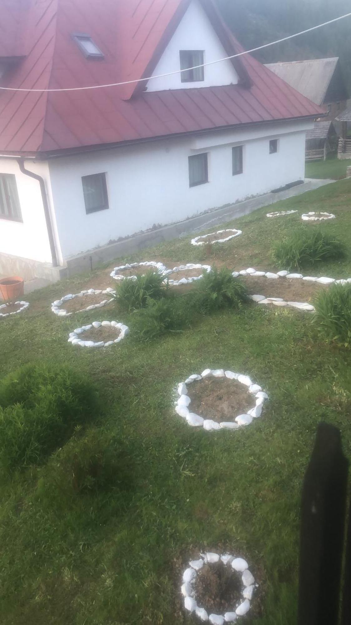 Pensiunea Valea Dorului Fundatica Kültér fotó